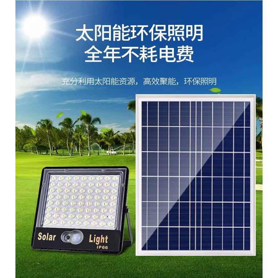 人体感应灯LED户外庭院灯灯家用照明灯投光灯