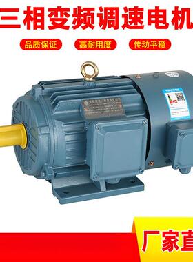 厂家直销三相异步电机YE3-160M1-2-11KW 立式铸铁马达60hz非标