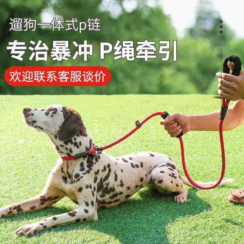 宠物用品p链防爆冲狗狗牵引绳户外遛狗尼龙绳子 泡棉把手狗链子
