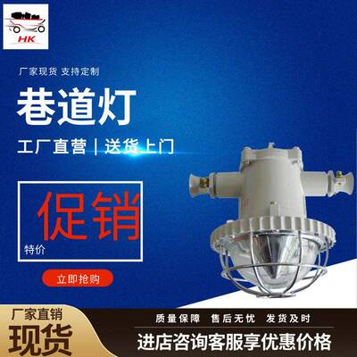 恒流恒压矿用巷道灯 免维护矿用LED巷道灯 DGC24/127L矿用巷道灯
