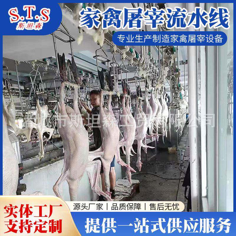 黑棕鹅自动屠宰流水线 明顺鹅屠宰设备厂家 鹅自动宰杀脱毛流水线