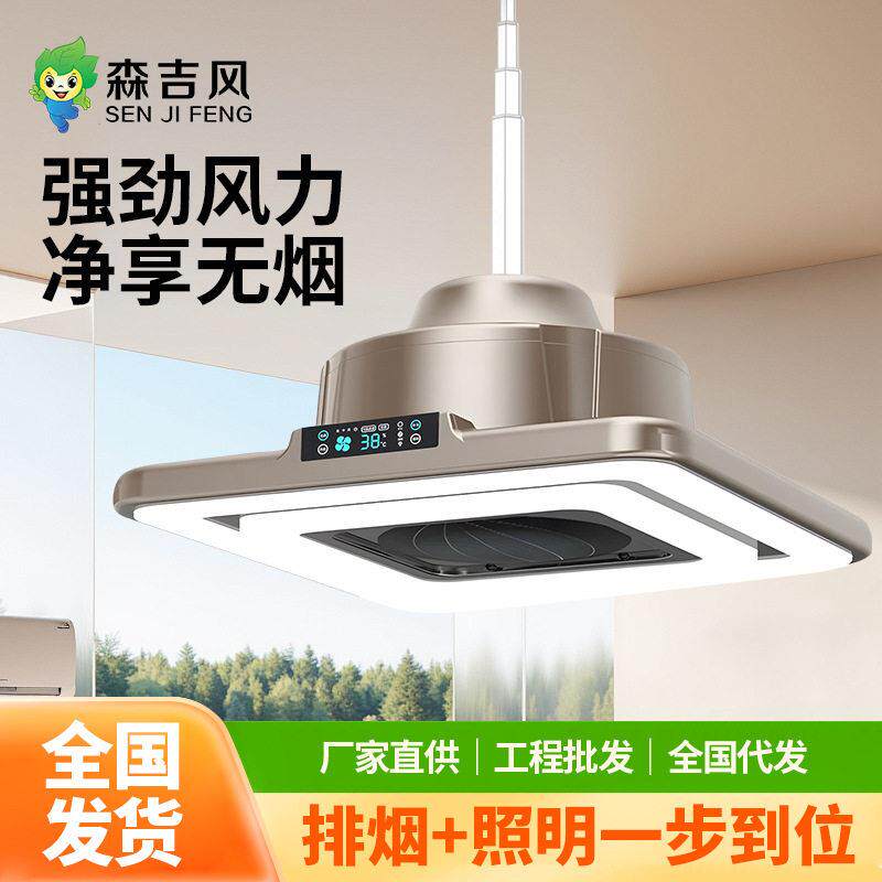 棋室强款吸烟灯空气净化器内循环麻将机用吊灯馆房桌抽烟排烟灯