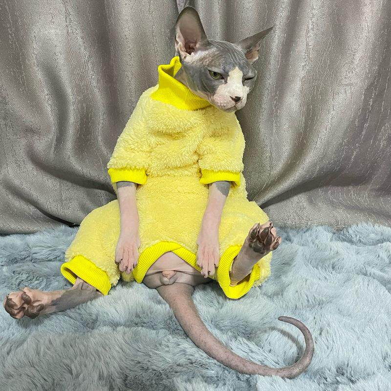 无毛猫衣服加厚护肚子四脚衣斯芬克斯猫德文秋冬季衣服双面绒好穿