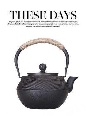 售楼处博古架软装铁锅摆件中式样板房手工铸铁茶壶生铁吊梁壶