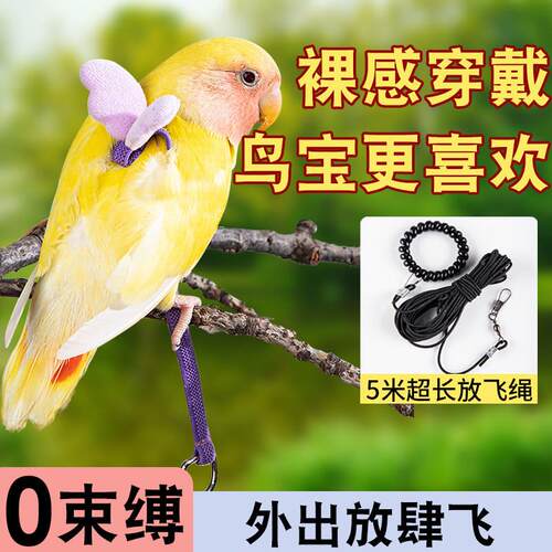 鹦鹉牵引绳超轻不勒外出抱婴袋训练溜鹦鹉鸟神器虎皮牡丹玄凤放飞