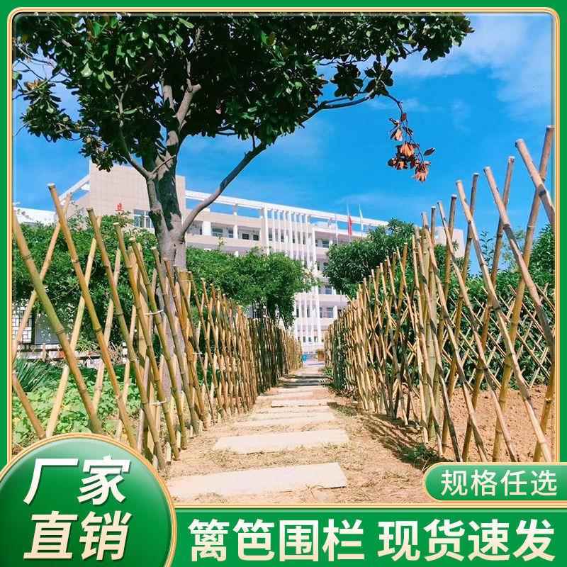 竹篱笆栅栏围栏爬藤架伸缩花园林装饰中式庭院菜园艺护栏竹竿围墙