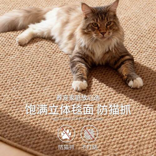 仿剑麻中古风地毯客厅2026新款防猫抓可机洗亚麻编织宠物养猫地毯