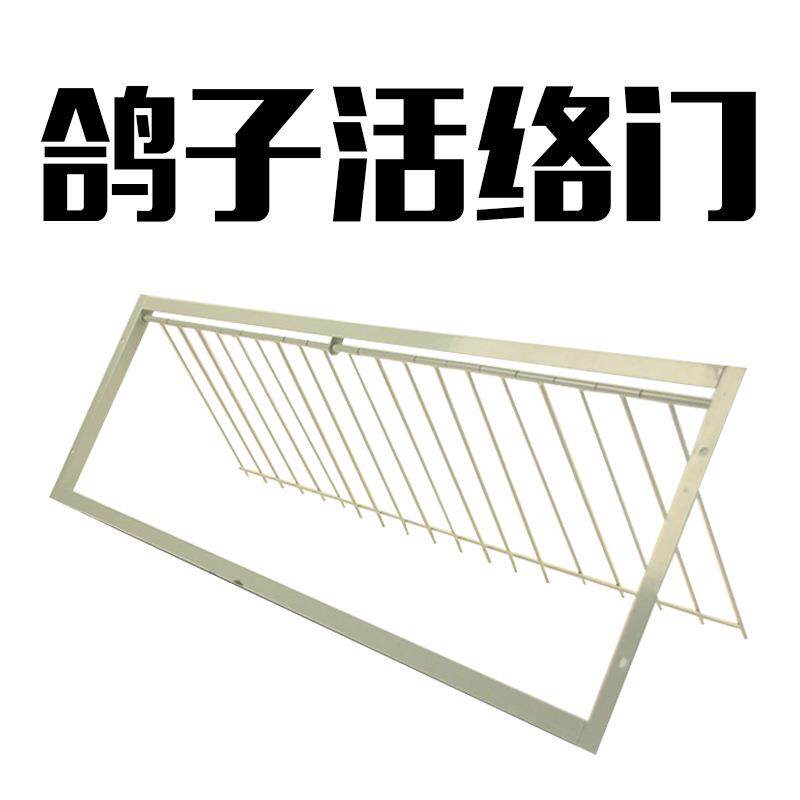 鸽子用品赛鸽活络门 活动门 鸽子跳笼门 碰门 撞门 信鸽撞笼门