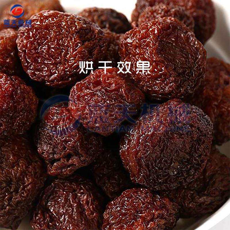 蓝天李子烘干机 小型电加热李子干水果干烘干箱 果肉烘干机全自动