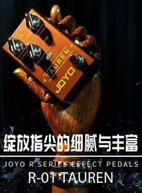 JOYO卓乐单块效果器R系列经典过载电吉他延迟重金属模拟失真电源