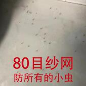 80目高透纱窗防小咬防隐翅虫小虫高清家用纱网可定制纱窗网自装