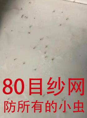 80目高透纱窗防小咬防隐翅虫小虫高清家用纱网可定制纱窗网自装