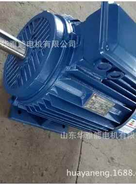 YE4-355M1-2-250KW电机异电压YBX4电机外观烂漫颜色鲜明而美丽