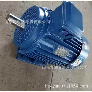 250KW电机异电压YE5电机外观烂漫颜色鲜明而美丽 YE5 355M1