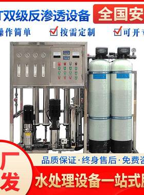 0.5t双级反渗透纯水设备工业纯净水ro水处理去离子超纯水处理设备