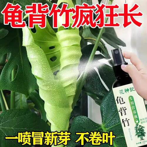 龟背竹专用肥营养液水培叶子发黄卷叶烂根免稀释型肥通用型营养液