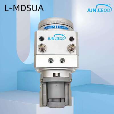 源头厂家L-MDSUA20-180S-T79旋转摆台气缸叶片式