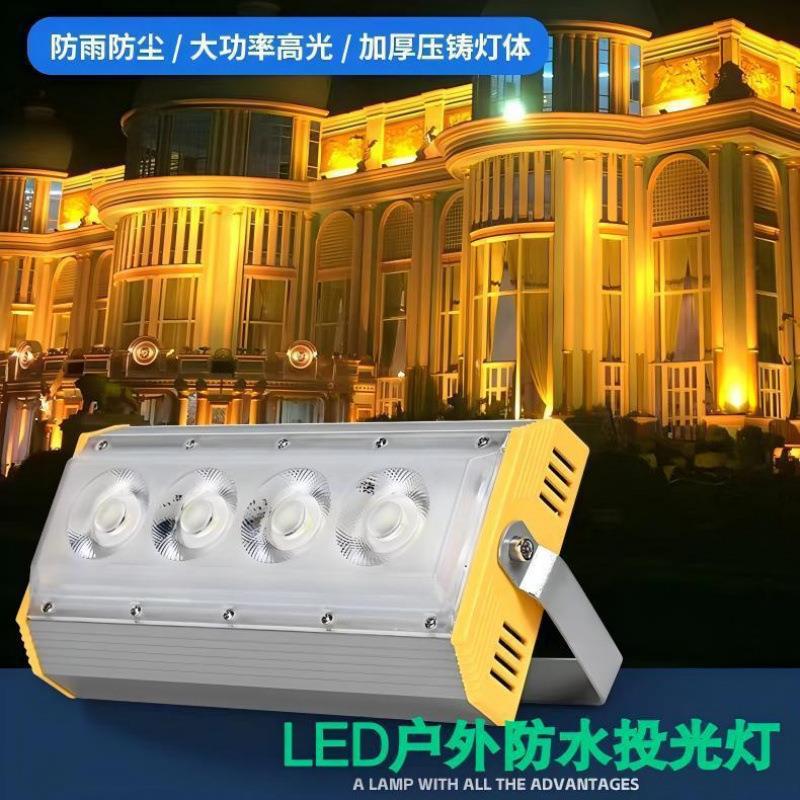 LED投光灯户外照树灯防水50瓦庭院坪射灯景观楼体射灯招牌射灯