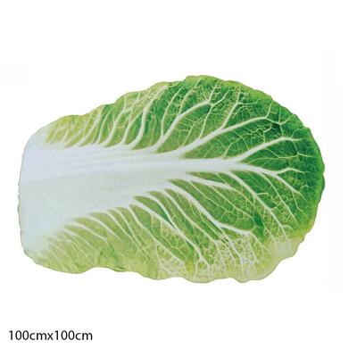 Double-Sided Flannel Creative Appearance Home Sofa Cabbage B