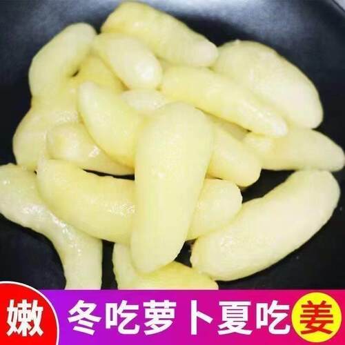 3斤嫩姜芽咸姜芽无蔗糖糖醋味嫩姜泡姜片嫩仔姜醋泡姜下饭菜酸甜