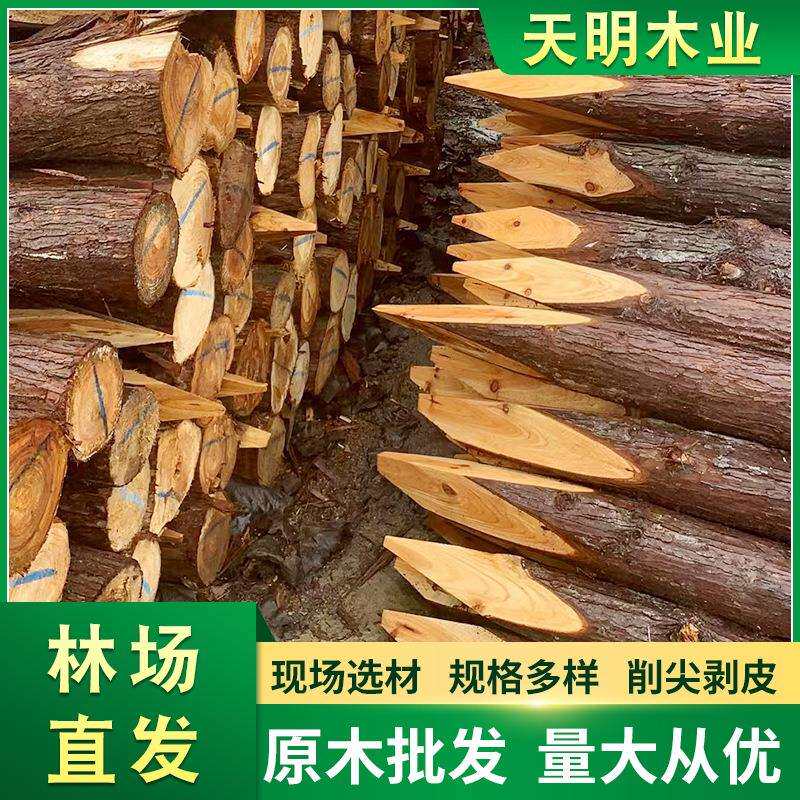 松木桩打桩原木桩杉木桩木材 绿化支撑防汛松树木桩林场直发