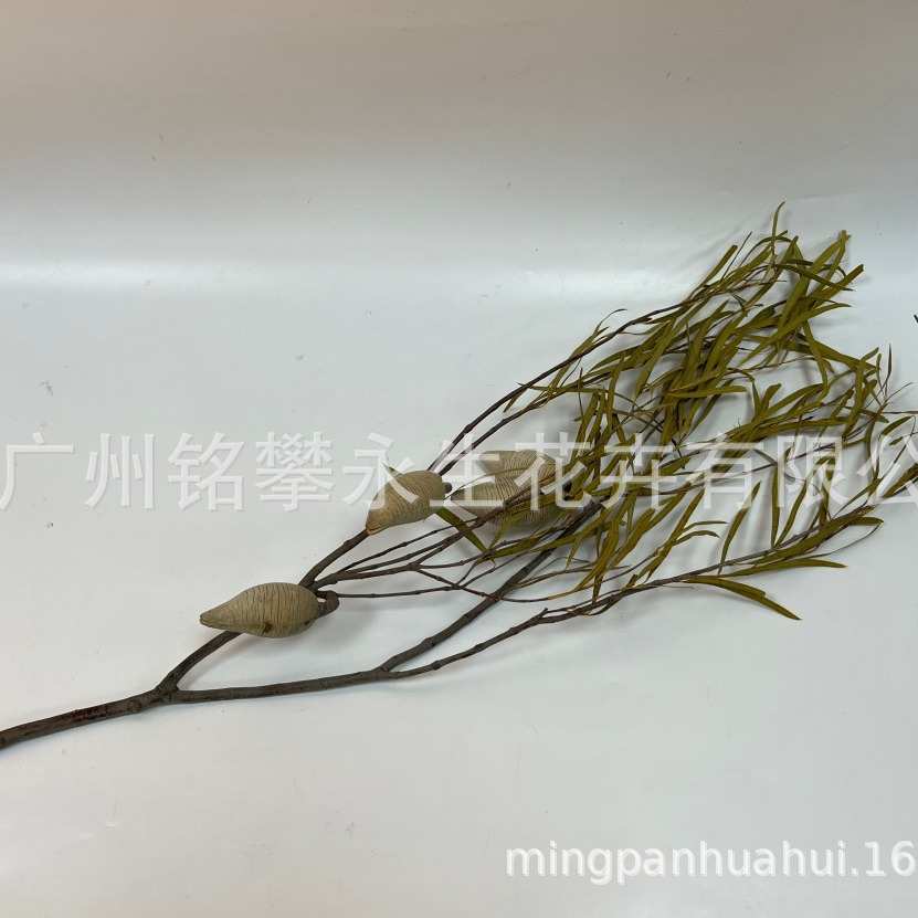 花艺背景材批发植物拍摄插花梨家居工具进口花干花装饰品木