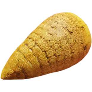 道用品竹卦竹根卦老竹根圣杯佛家用品卦圣杯法卦用品聚源堂