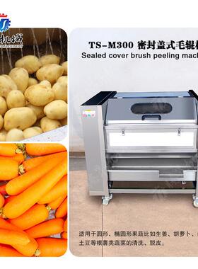 小型土豆毛刷清洗去皮机果蔬密封式毛辊清洗机土豆清洗机