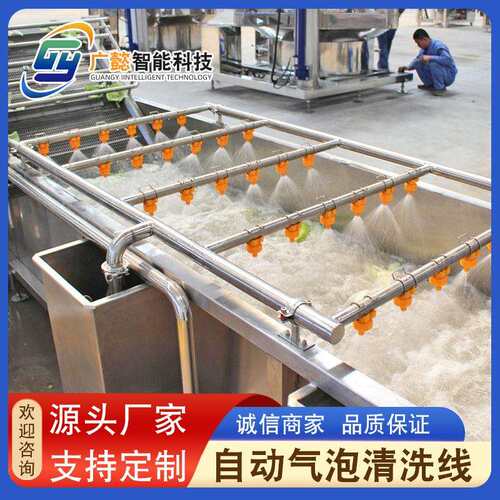 果蔬清洗机设备 全自动鱼腥草清洗机设备 薄荷气泡清洗流水线
