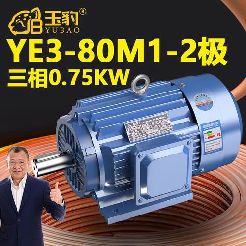80M1-2极全新YE3系列三相异步马达国标0.75KW电机380V三相全铜