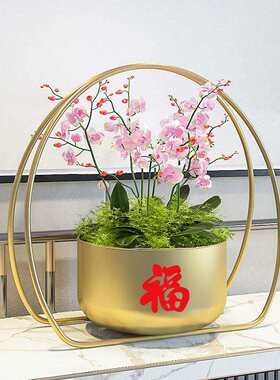新居乔迁福桶春节抱抱桶年宵干花花桶银柳摆件花盆花器装扮花