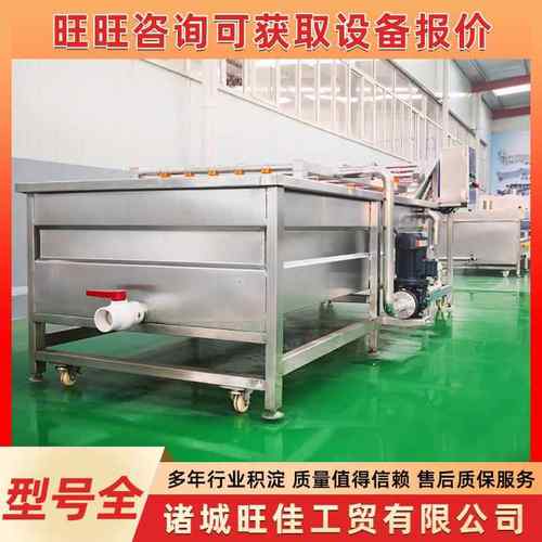 蔬菜气泡清洗设备金桔冬枣喷淋式清洗机不锈钢苹果果蔬清洗线