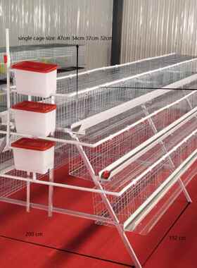 蛋鸡笼子阶梯式养鸡设LRT备层立体式全自三半动自动养殖棚专用四