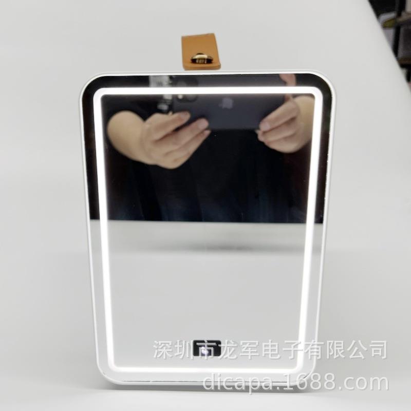 4L小冰箱美妆数显可调温恒温杀菌内置灯三档调光提手车载半导体