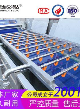洗菜机食品加工厂用中央厨房净菜加工生产线水果清洗吹干机器