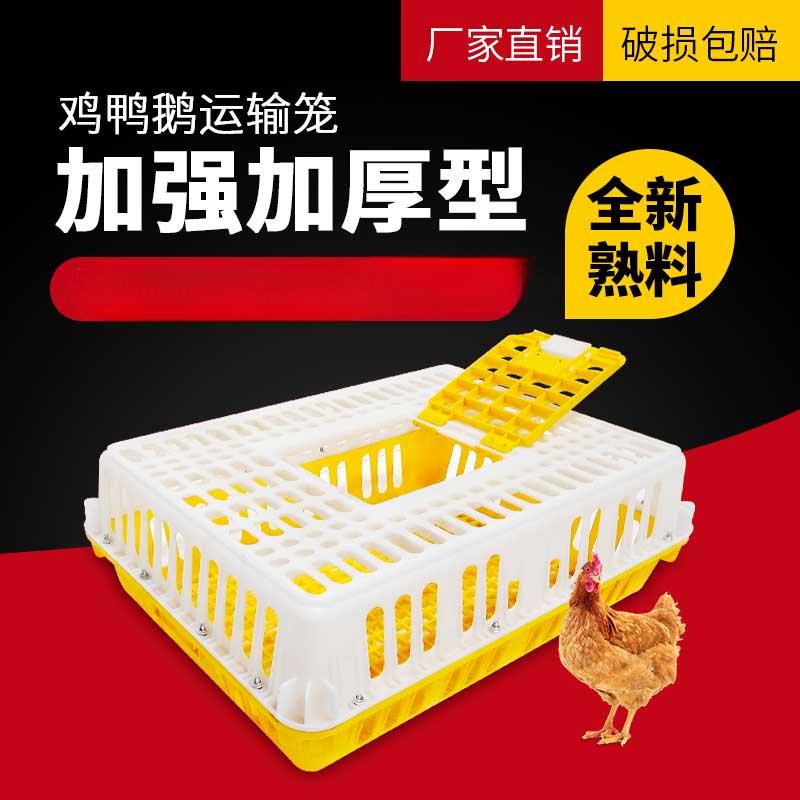 梵砂鸡笼运输笼塑料周转箱 装鸡筐鸡框子鹧鸪养殖笼 大型鸭鹅兔鸽