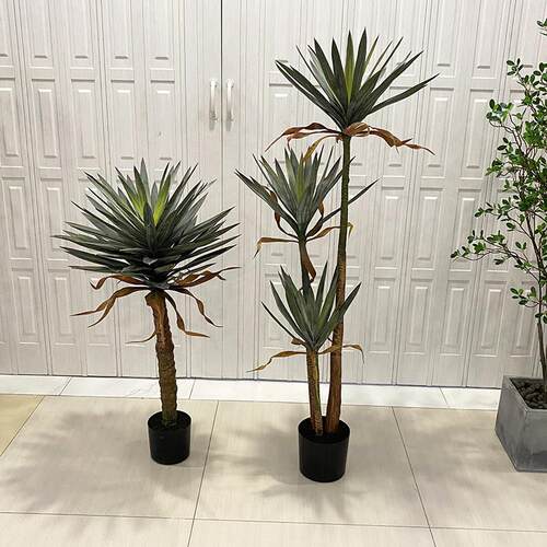 彷真剑麻树美洲龙舌兰沙漠绿植室内大型植物景观造景餐厅民宿橱窗