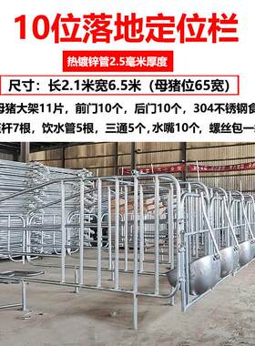 新款定位栏猪用半限位栏养猪场设备落地定位围栏国标加厚耐用厂家