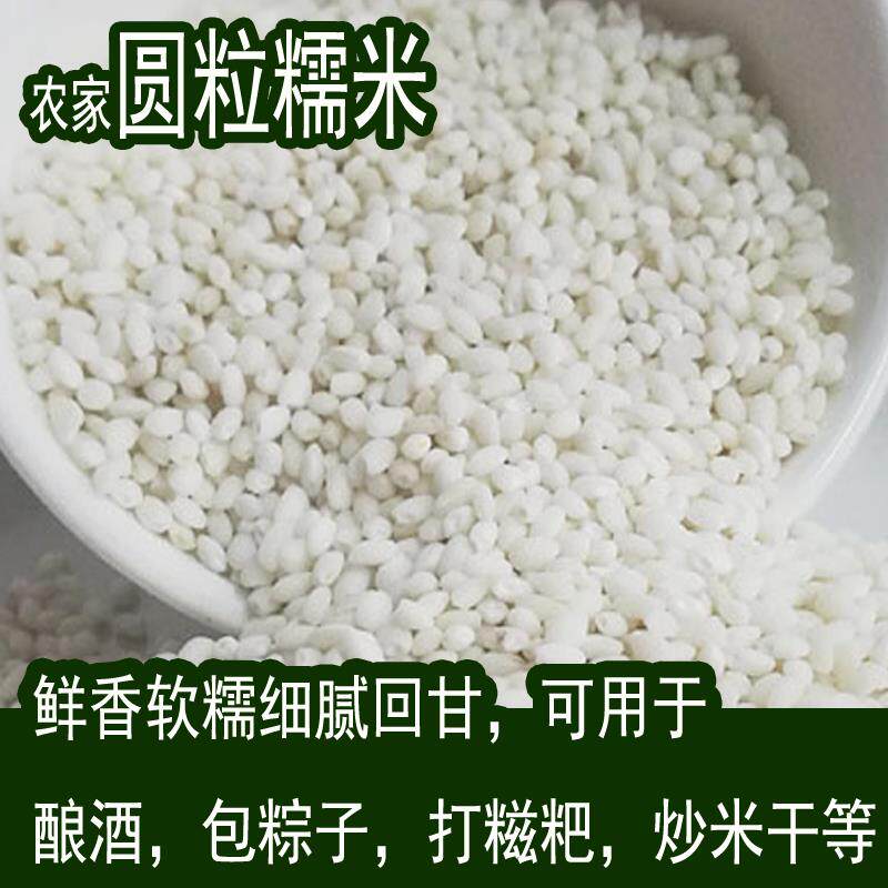 四川农家圆粒糯米优质香白江米煮粥酿酒包粽子纯正新米糍粑9斤装