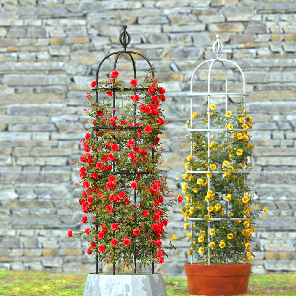 架子架藤架蔷薇花架月季攀爬户外藤架铁线莲葡萄花园支架爬阳台