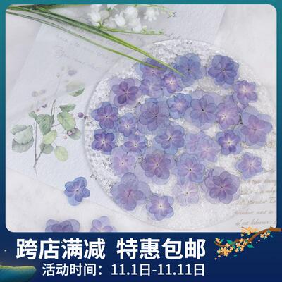 重瓣绣球干花压花pressed flowers滴胶手工DIY相框香薰美妆材料包