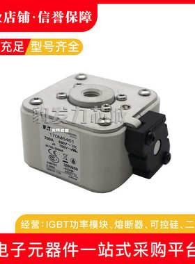 170m6645170m6501 全新熔断器170m6644 现货 170m6500170m6499