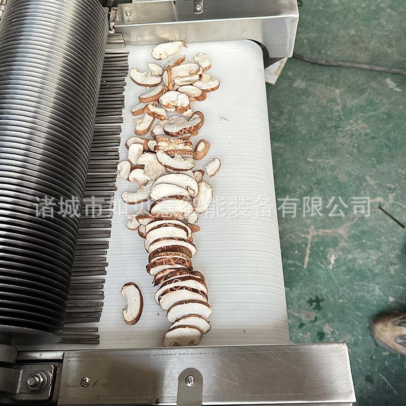 豆皮滚刀切丝机 干辣椒切丝机 不锈钢人参切片机