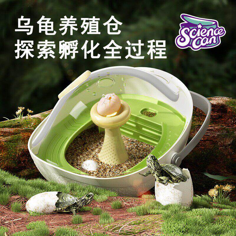 乌龟蛋可孵化套装成长仓活物爬晒台专用小乌龟缸宠物饲养箱孵化盒