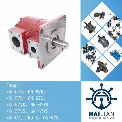 6N hydraulic pump for IHI deck crane克令吊油泵船舶液压备件
