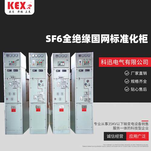 SF6全绝缘国网标准化柜全绝缘充气柜六氟化硫全封闭式环网柜