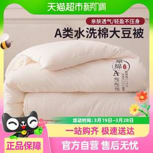 款 A类超柔母婴大豆纤维被子四季 原棉大豆被加厚酒店冬被春秋被芯