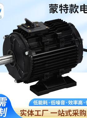 厂家供应蒙特款电机小型微型定制黑色低噪音有刷三相异步马达静音