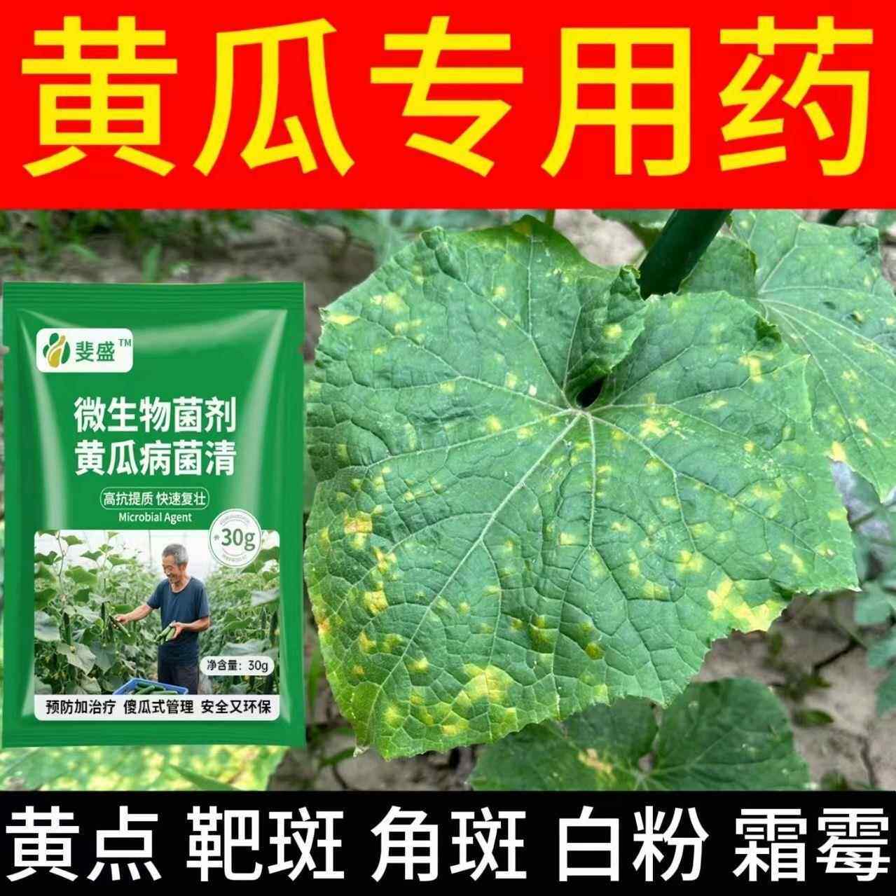 黄瓜专用杀菌剂黄叶枯萎病角斑病灰霉病霜霉病靶斑病炭疽病专用药
