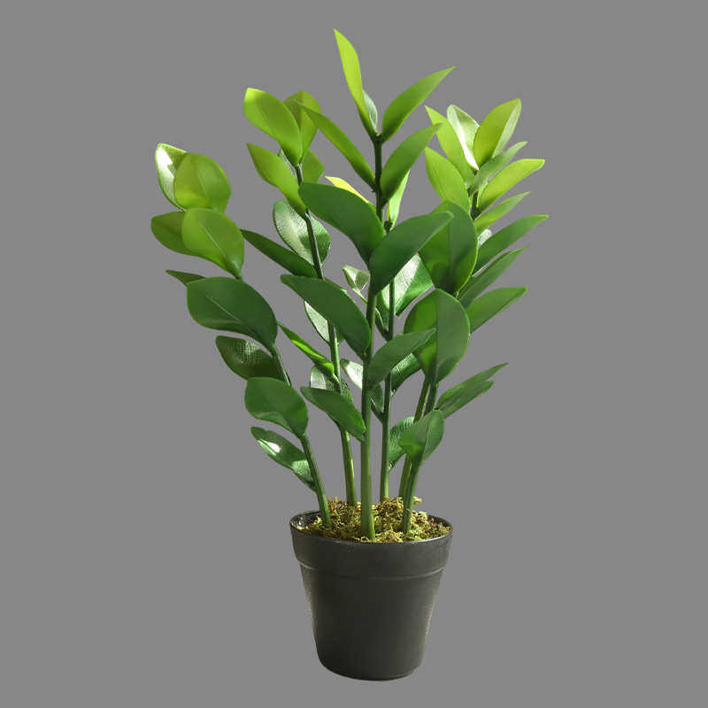 绿金钱植盆景绿办公室客厅植盆栽植物植春季仿真绿假树室内,鲜花速递/花卉仿真/绿植园艺,仿真绿植,淘宝优惠券,粉丝福利购,淘宝优惠卷